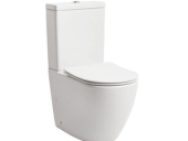 Back-To-Wall toilet